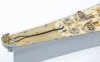 Pontos 37026FN USS BB-63 Missouri 1945 Advanced Detail Up Set (Teak tone stained wooden deck) (1:350)